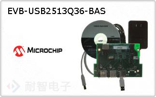 EVB-USB2513Q36-BAS