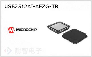 USB2512AI-AEZG-TR